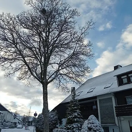 Lägenhet Centrum Mit Privaten Keller Winterberg