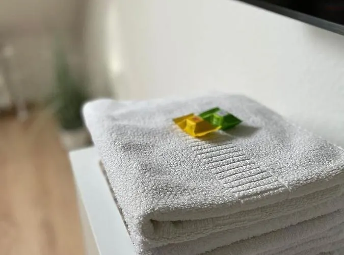 Centrum Mit Privaten Keller Apartment Winterberg