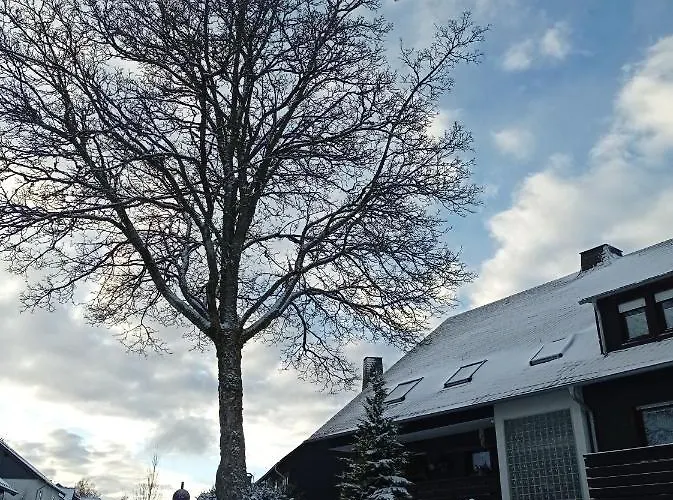 Lägenhet Winterberg Centrum Mit Ssc Sommercard Winterberg