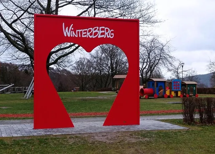 Winterberg Centrum Mit Ssc Sommercard Lägenhet